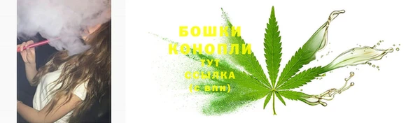 PSILOCYBIN Абдулино