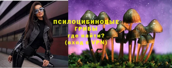 PSILOCYBIN Абдулино
