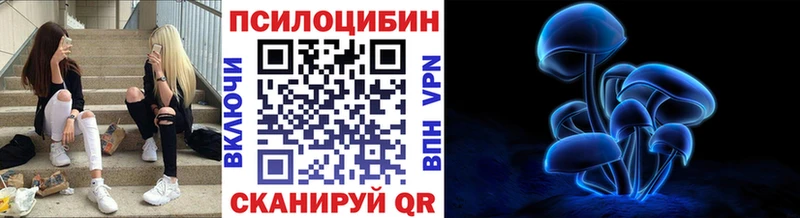 Псилоцибиновые грибы ЛСД  дарнет шоп  Ртищево 